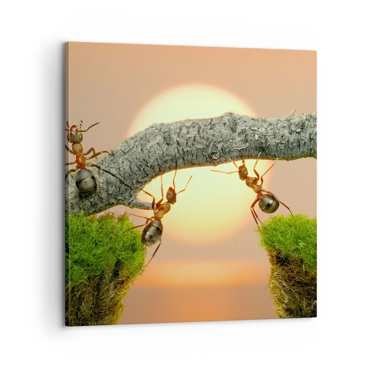 Vászonkép - Boldog, közös munka - 60x60 cm