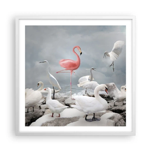 Poszter fekete keretben - Hogy kerültem ide? - 60x60 cm