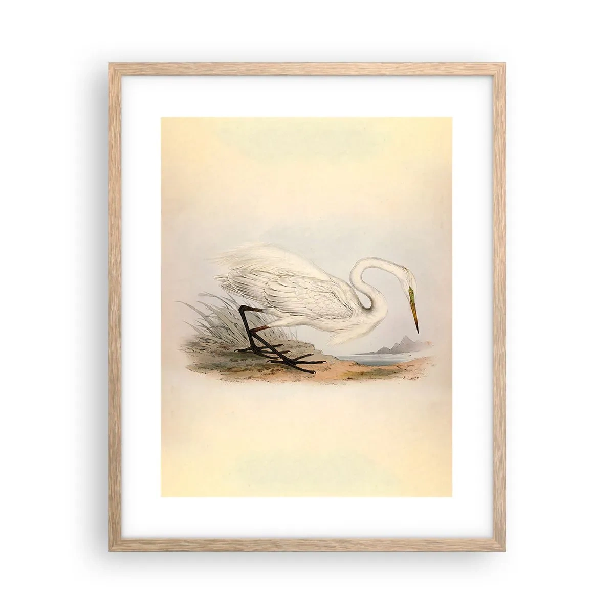 Poszter világos tölgy keretben - Hölgy a nádasban - 40x50 cm