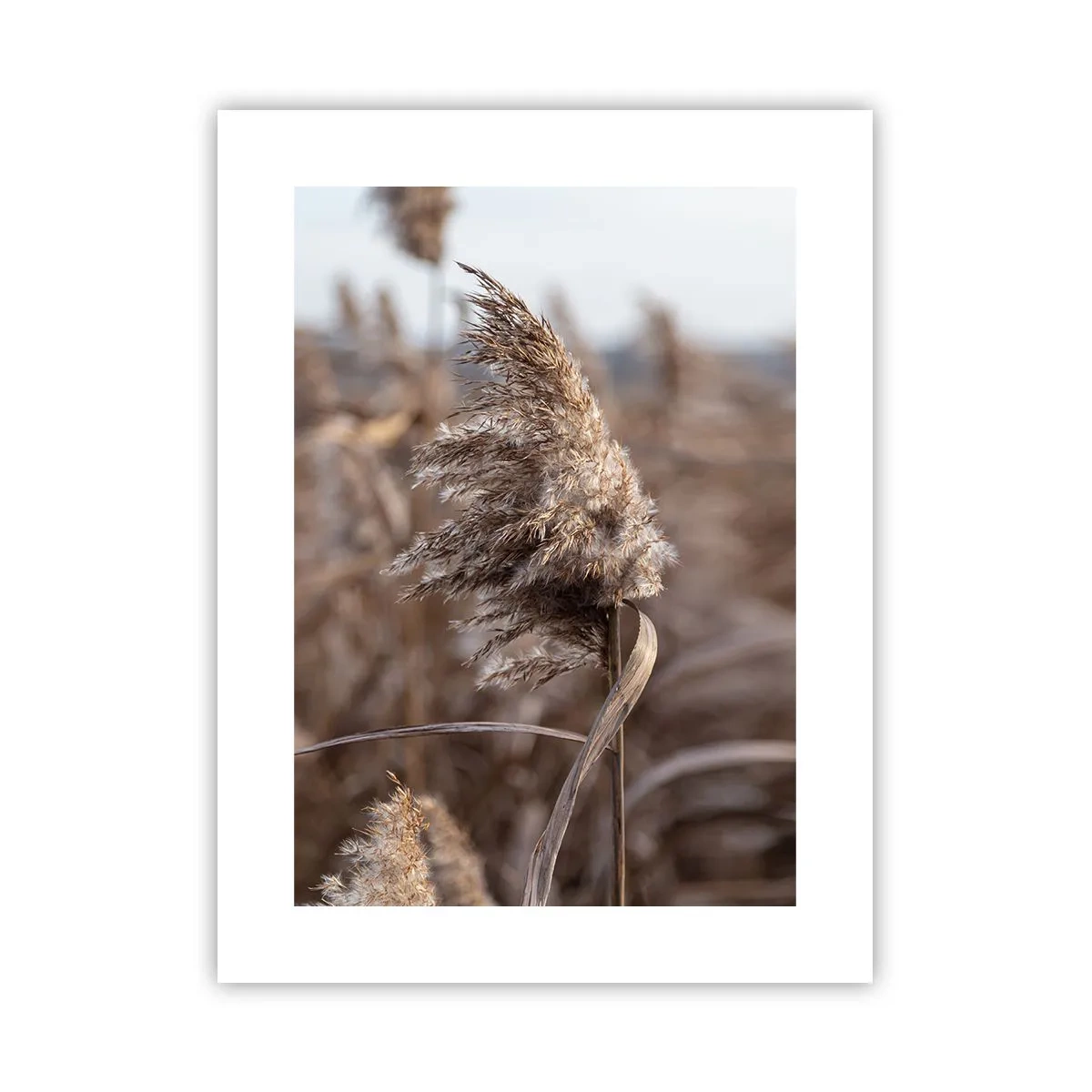 Poszter - Ideje elrepülni a széllel - 30x40 cm