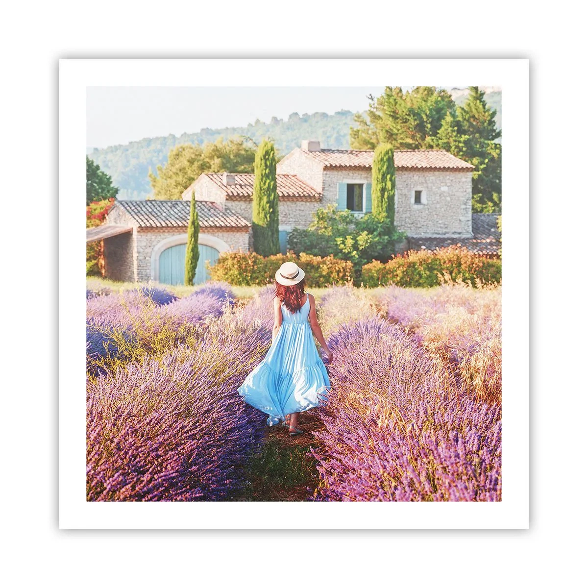 Poszter - Levendula lány - 60x60 cm