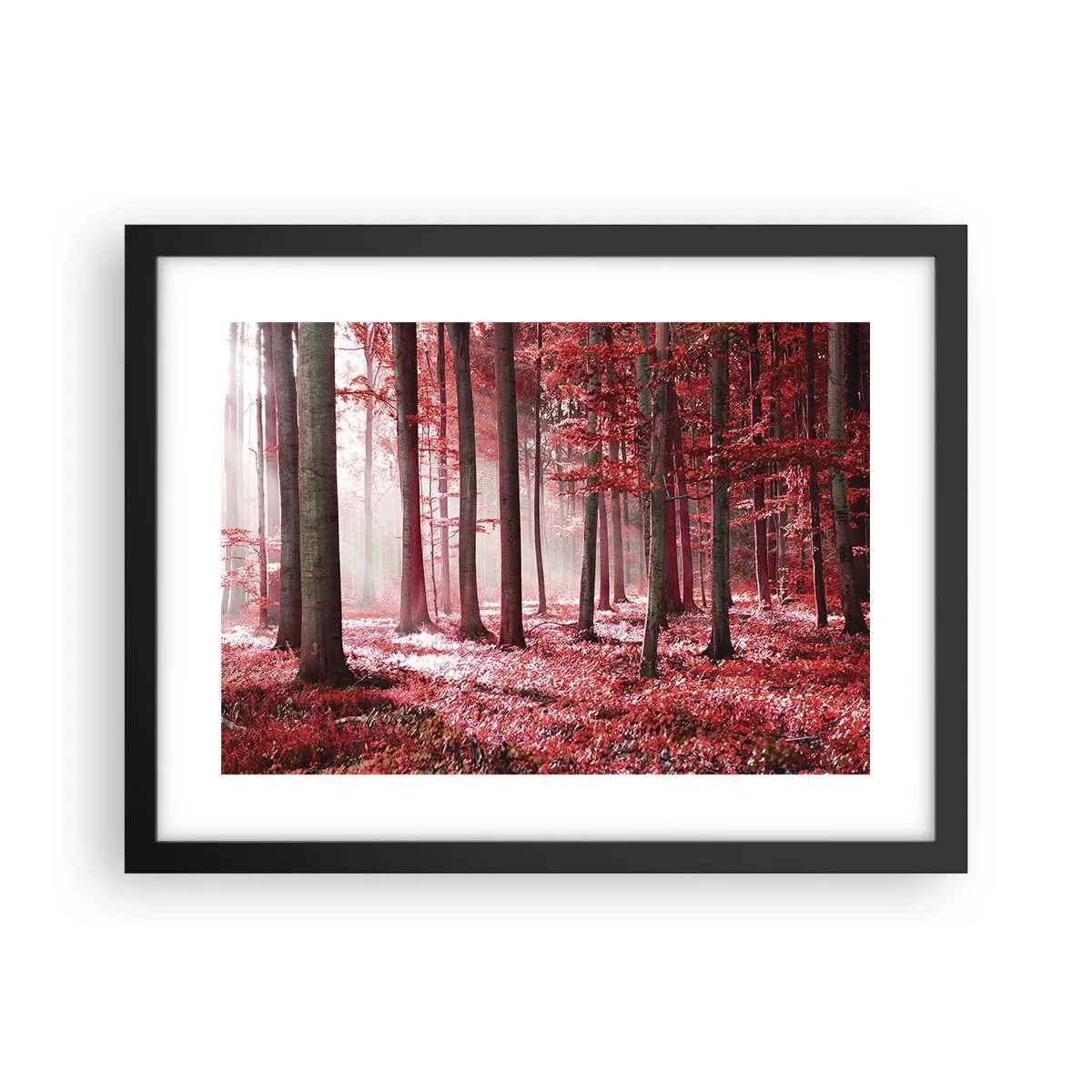 Poszter fehér keretben - A piros különösen szép - 40x30 cm