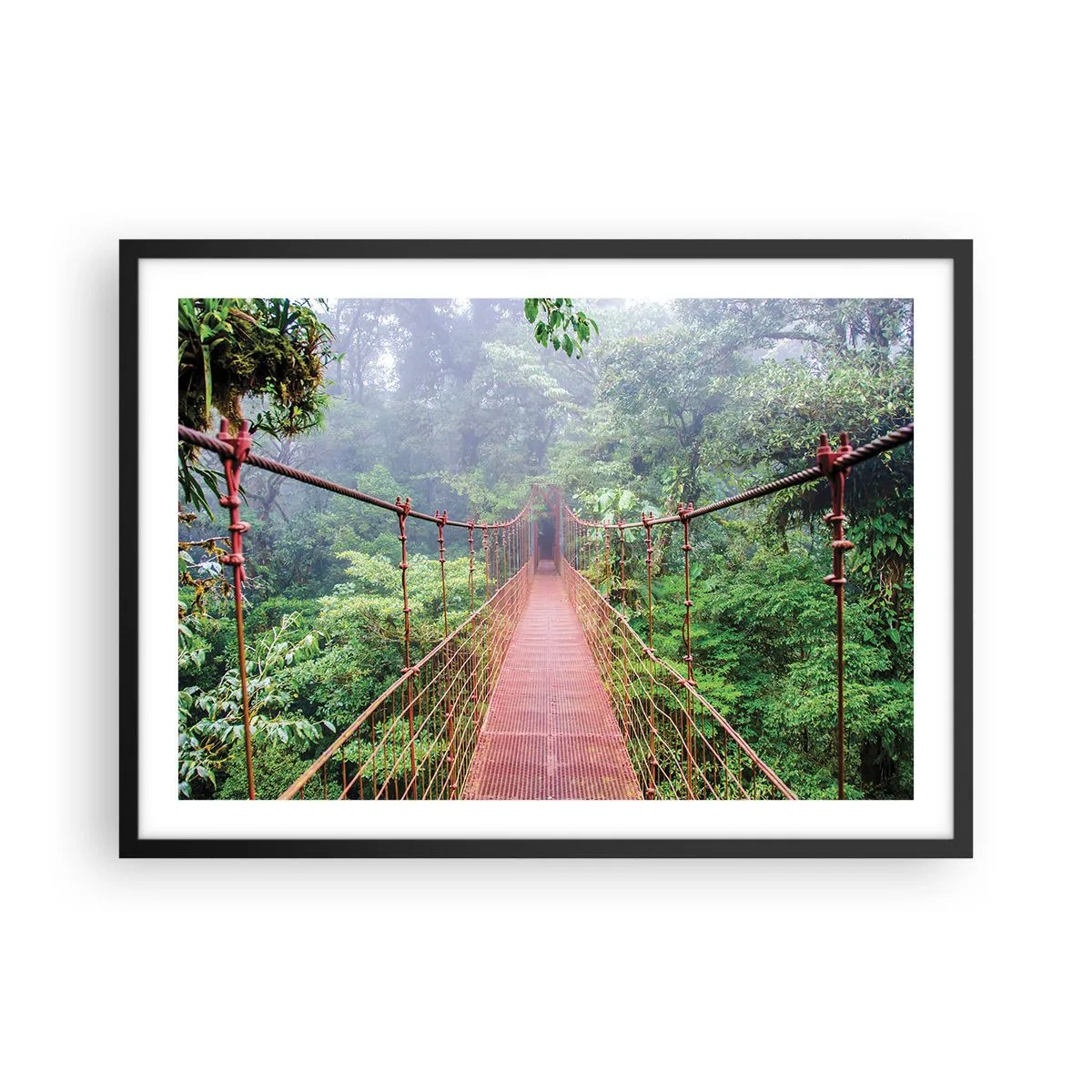 Poszter fehér keretben - A lomkoronák fölé függesztve - 70x50 cm