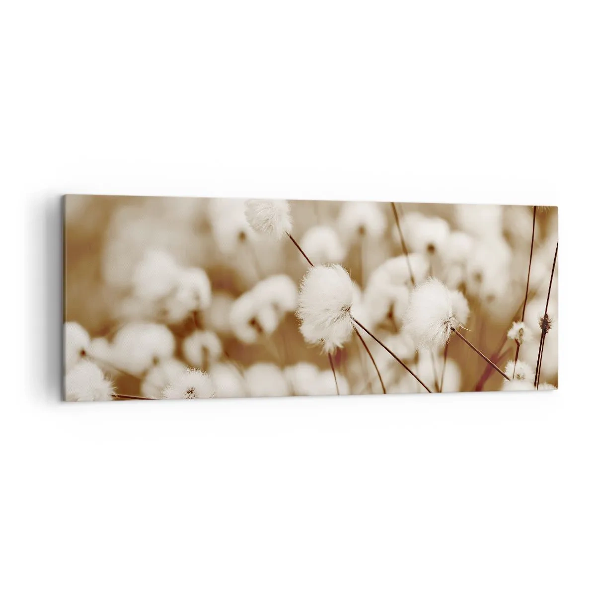 Vászonkép - Bolyhos termés - 140x50 cm