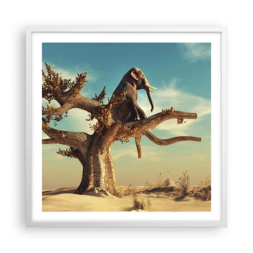 Poszter fekete keretben - Egy új nézőpont - 60x60 cm