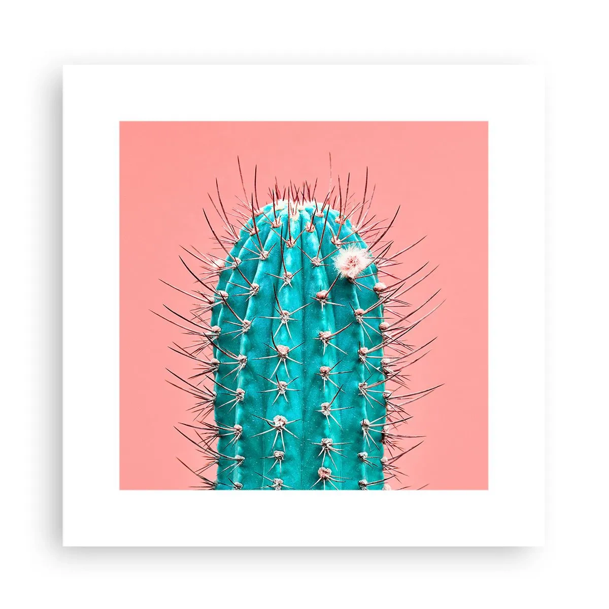 Poszter - Csak nézz - 30x30 cm