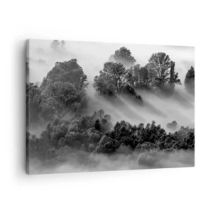 Vászonkép - Fekete-fehér erdei táj a reggeli ködben - 70x50cm -  Az álomból felkelő - Modern fali dekoráció nappalihoz és hálószobához ARTTOR