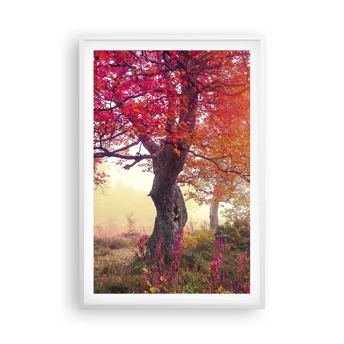 Poszter fekete keretben - Virágzás őrülete - 61x91 cm