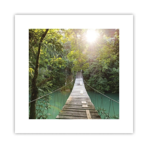 Poszter - Az azúrkék vízen át az azúrkék erdőbe - 30x30 cm