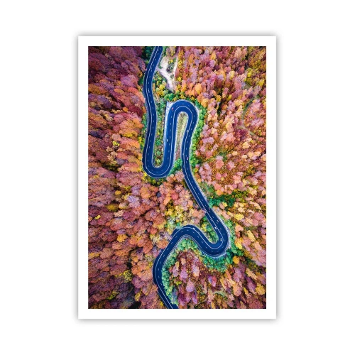 Poszter - Kanyargós út az erdőn keresztül - 70x100 cm