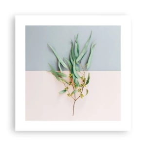 Poszter - Pasztell finomság - 40x40 cm