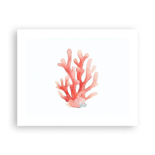 Poszter - A korall színe - 50x40 cm