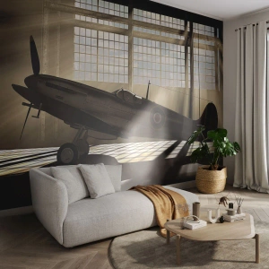 Fotótapéta Premium Sand - Harcos pihenése - Repülőgép, Repülési Hangár, Repülőgép - 450x315 cm