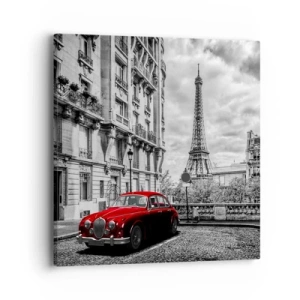 Vászonkép - Ragadozó a városban - 40x40 cm