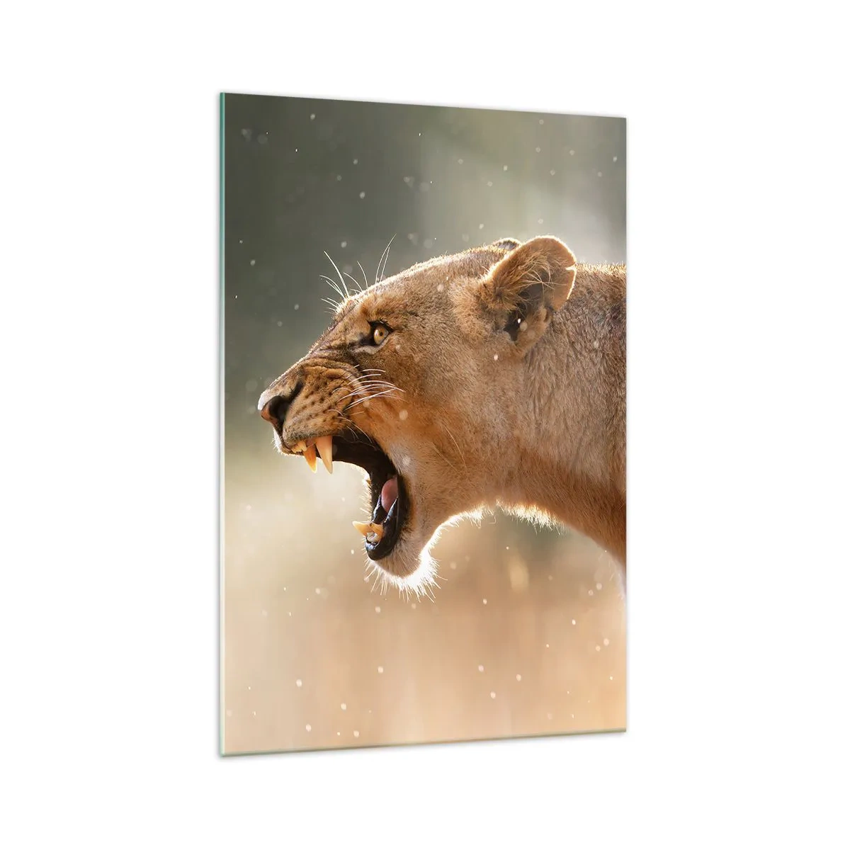 Üveg kép - Próbálj meg nem hallgatni - 70x100 cm