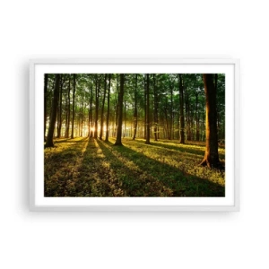 Poszter fekete keretben - Minden tavasz fotója - 70x50 cm