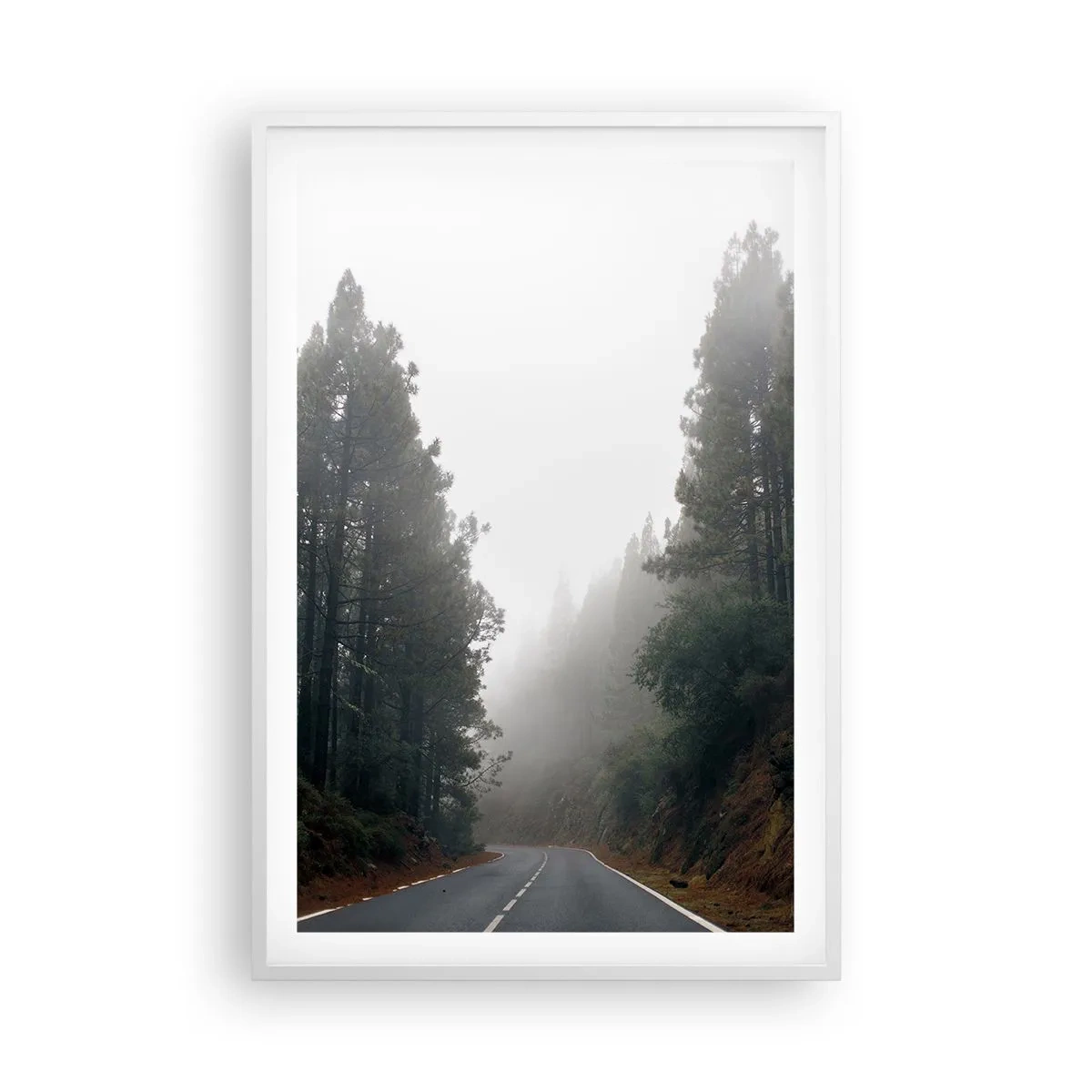 Poszter fekete keretben - Egy varázslatos erdő meséje - 61x91 cm