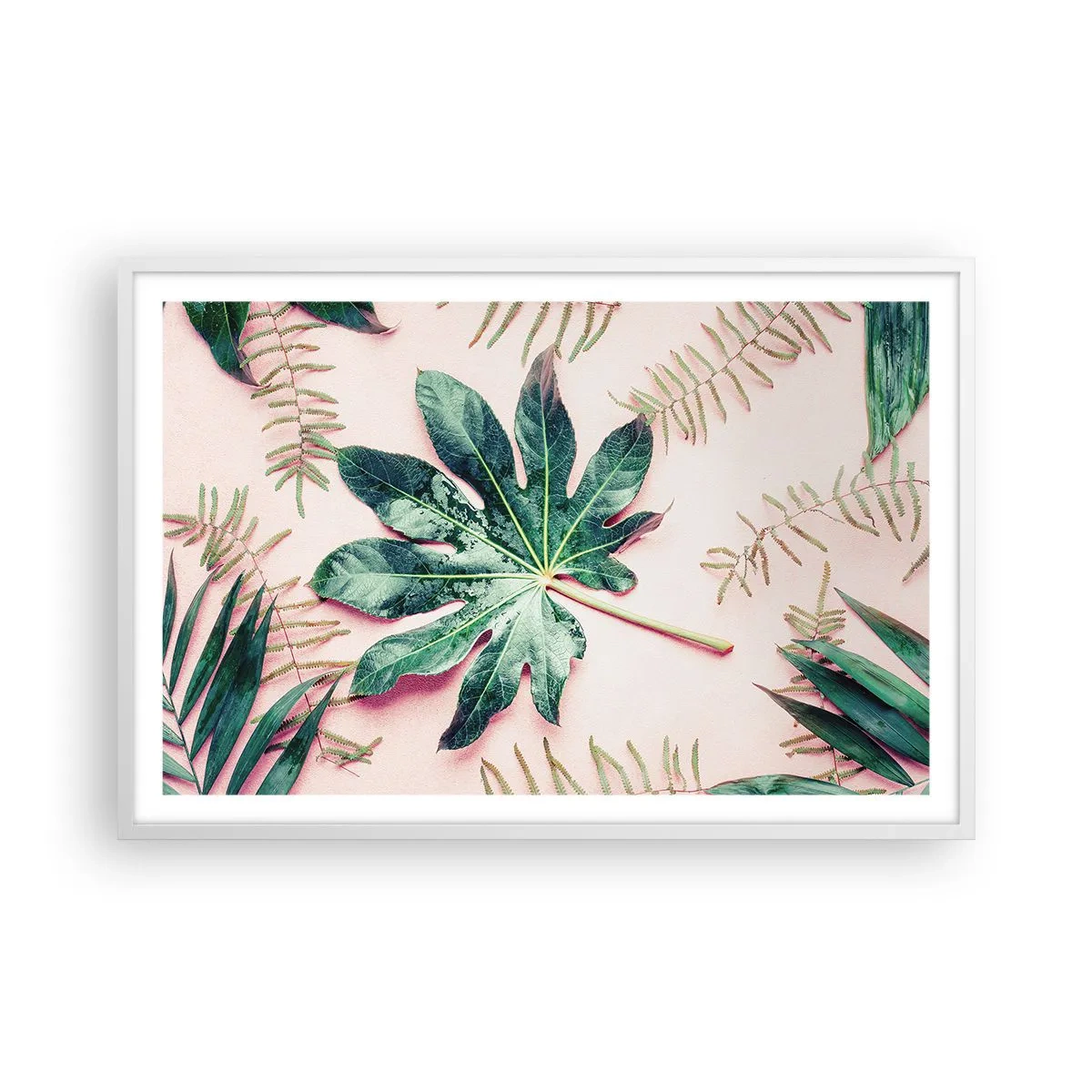 Poszter fekete keretben - A zöld tanulmánya a rózsaszín háttérben - 91x61 cm
