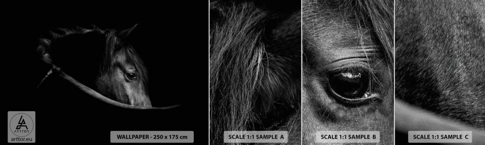 Fotótapéta Minta Premium Canvas - Fekete herceg - Ló, Állat, Művészeti - 100x30 cm