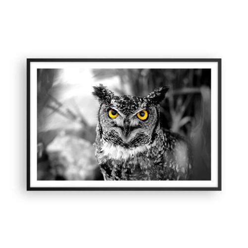 Poszter fehér keretben - Semmi sem fog elbújni - 91x61 cm