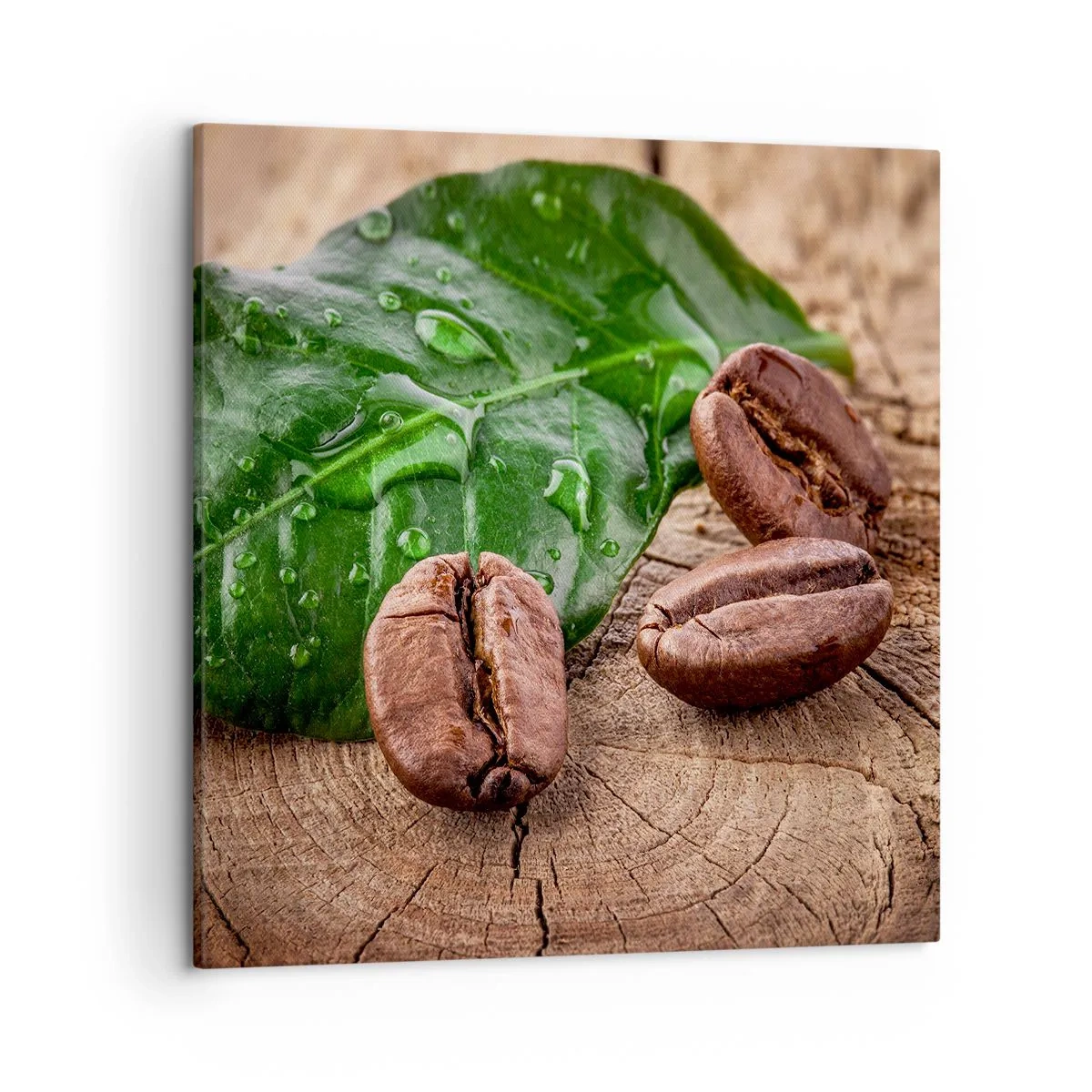 Vászonkép - A legigazibb és fekete - 50x50 cm