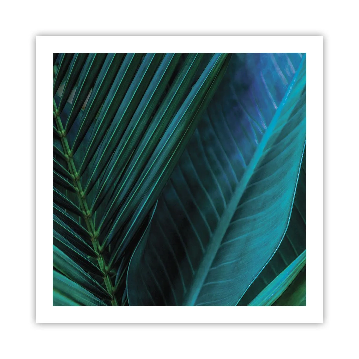 Poszter - A zöld anatómiája - 60x60 cm