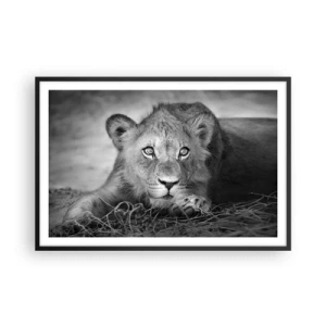 Poszter fehér keretben - Királyi kölyök - 91x61 cm
