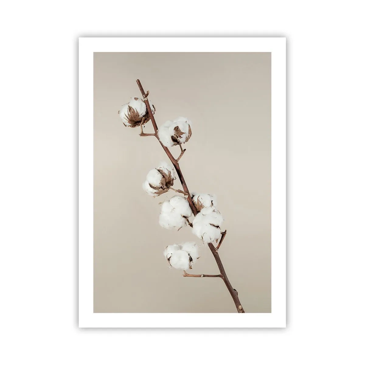 Poszter - A puhaság forrásánál - 50x70 cm