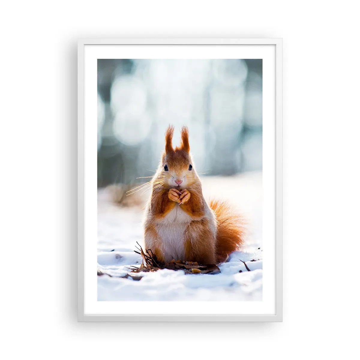 Poszter fekete keretben - Mit nézel? - 50x70 cm