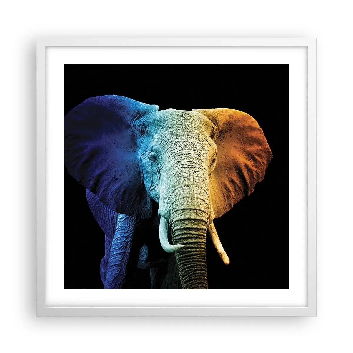 Poszter fekete keretben - Excentrikus, nem különc - 50x50 cm