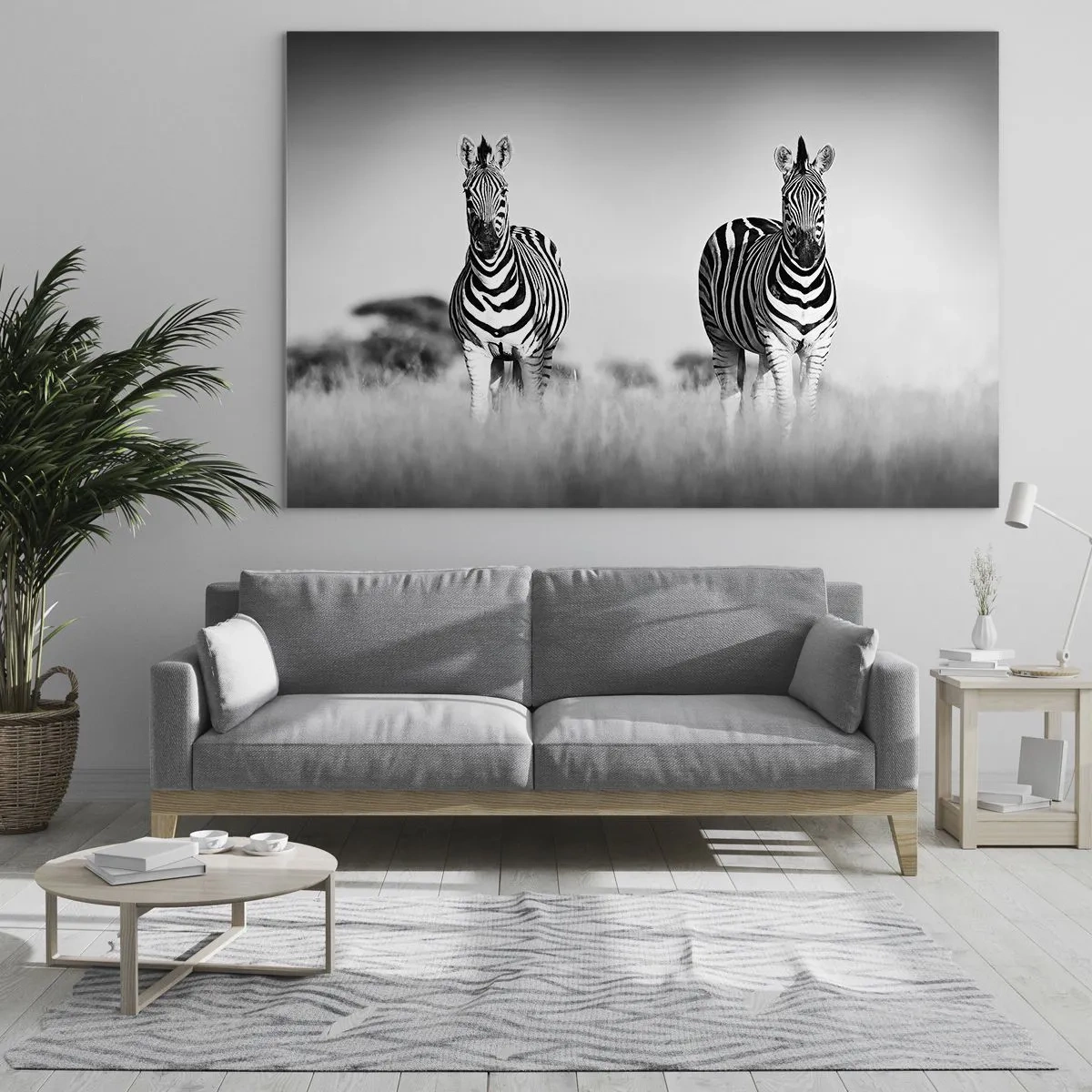 Üveg kép - Egy zebrapár fekete-fehér füves háttérben, természetes élőhelyükön ábrázolva. - 70x50cm - A világ mégis fekete-fehér - Modern fali dekoráció nappalihoz és hálószobához ARTTOR
