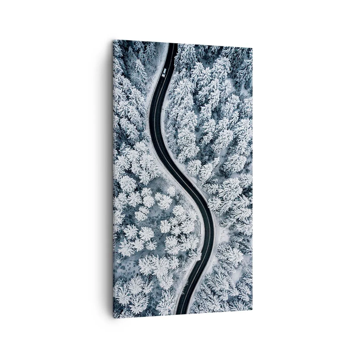 Vászonkép - A téli erdőn - 45x80 cm