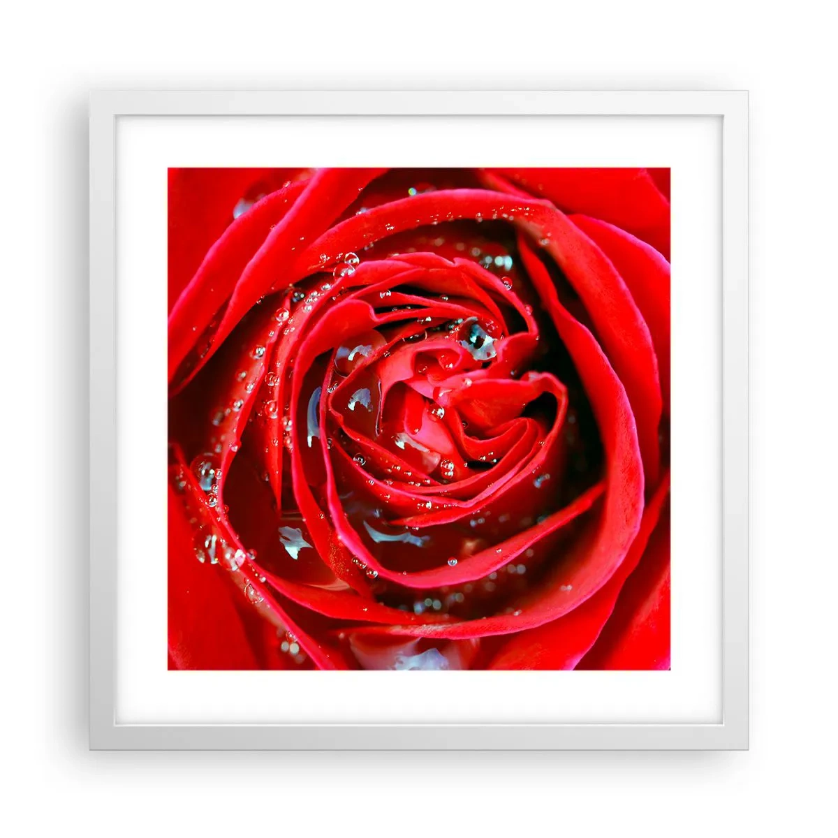 Poszter fekete keretben - A harmatcseppekben - 40x40 cm