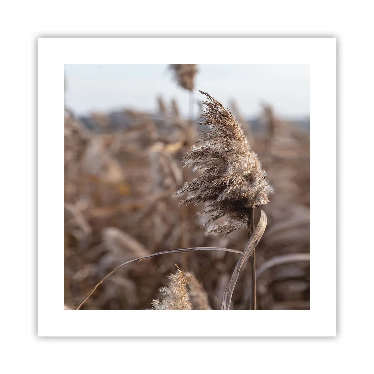 Poszter - Ideje elrepülni a széllel - 40x40 cm