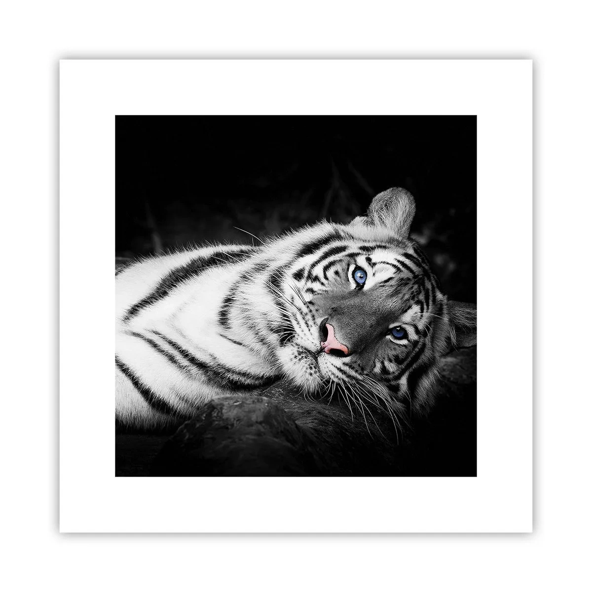 Poszter - Vadság és nyugalom - 30x30 cm