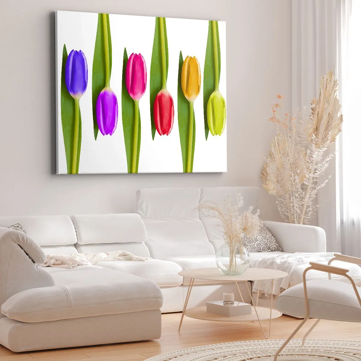Vászonkép - Többszínű tulipánok elrendezve egy sorban fehér alapon - 70x50cm - Szivárvány kompozíció - Modern fali dekoráció nappalihoz és hálószobához ARTTOR