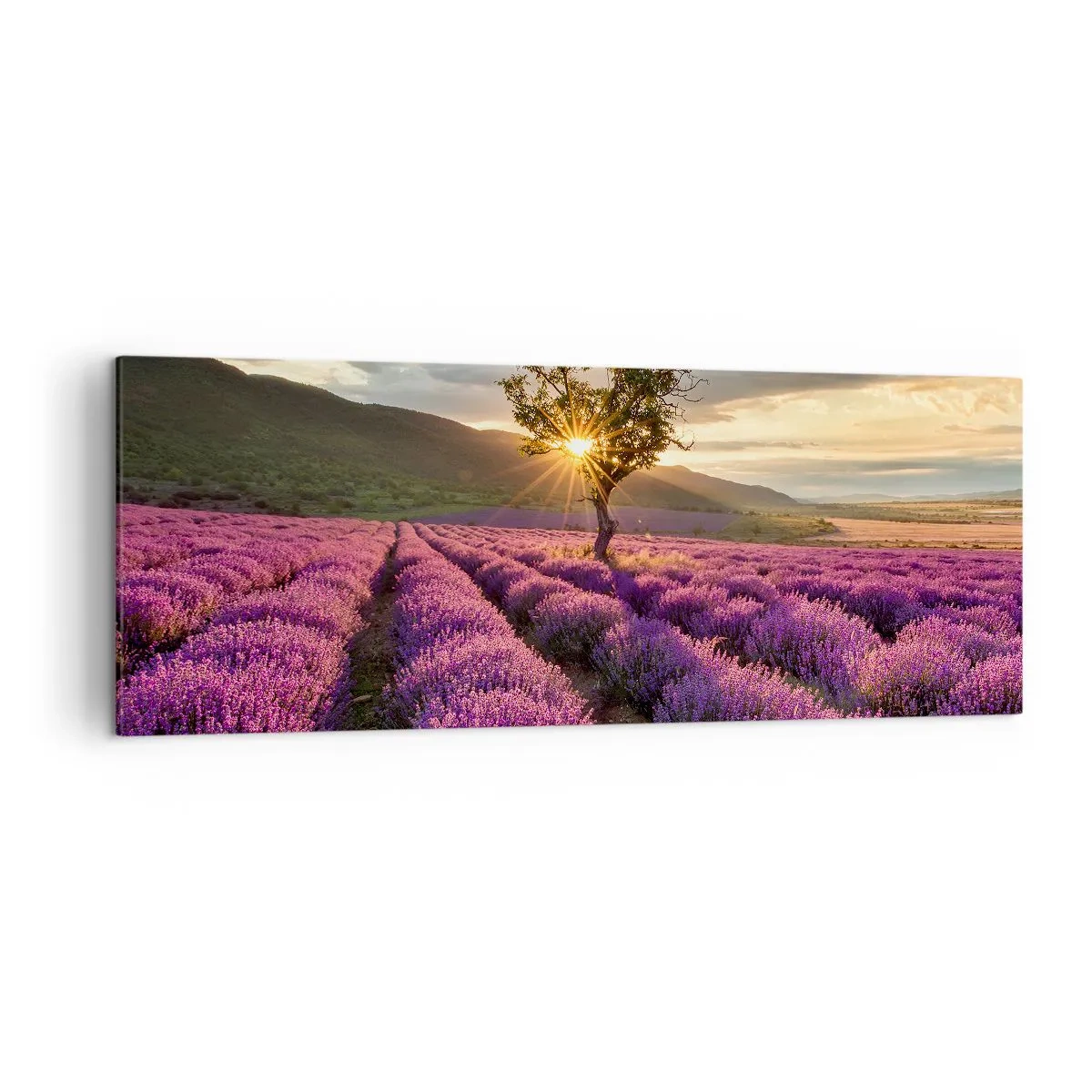 Vászonkép - Lila színű illat - 140x50 cm