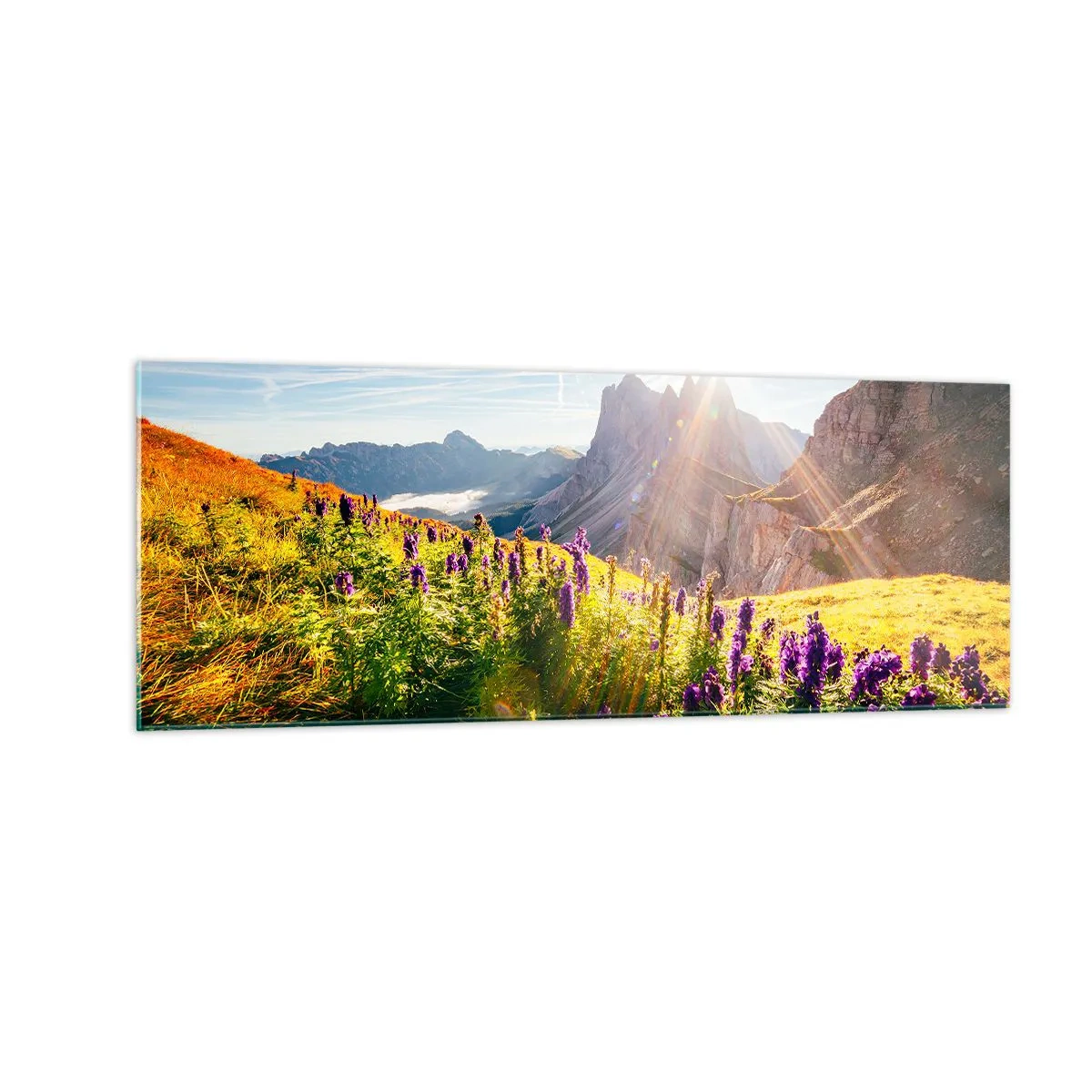 Üveg kép - A gyógynövények titkos élete - 140x50 cm