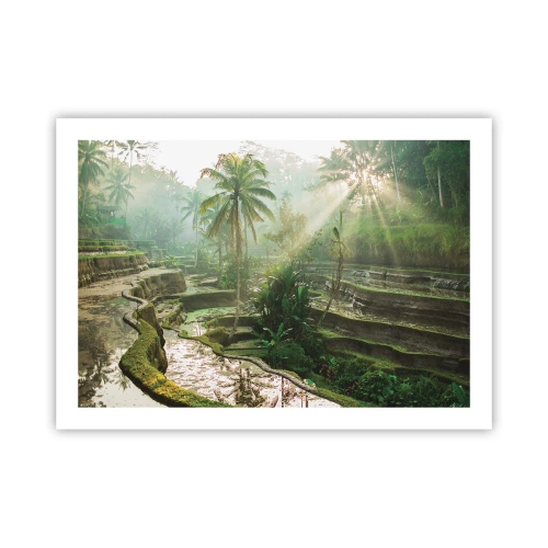 Poszter - Felnőni a napon - 70x50 cm