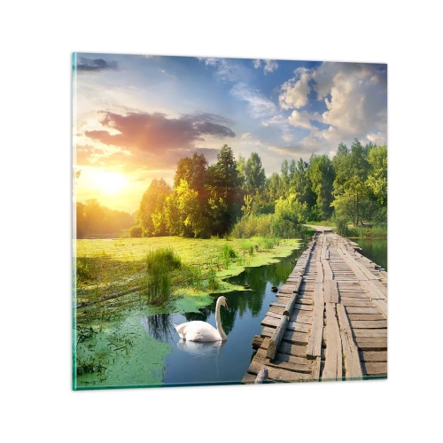 Üveg kép - Nyár, mindenhol nyár - 40x40 cm