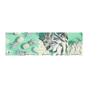 Fotótapéta Minta Standard Eco - jól megy a mentával - Absztrakció, Ananász, Darab - 100x30 cm