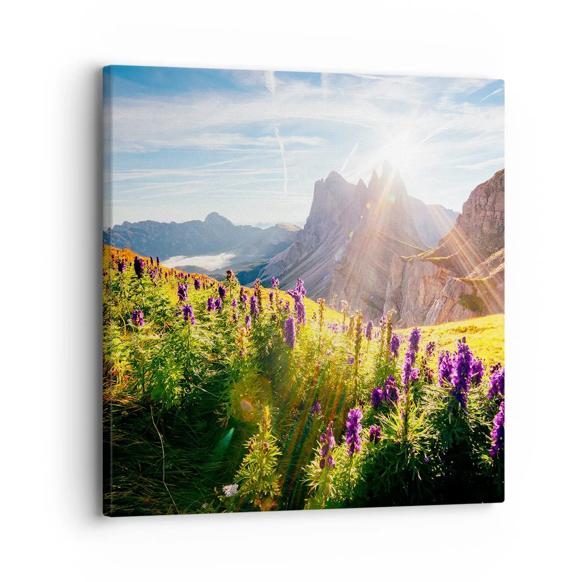 Vászonkép - A gyógynövények titkos élete - 30x30 cm