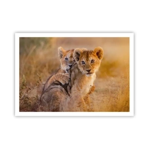 Poszter - Ne zavarni! Szórakozunk - 100x70 cm