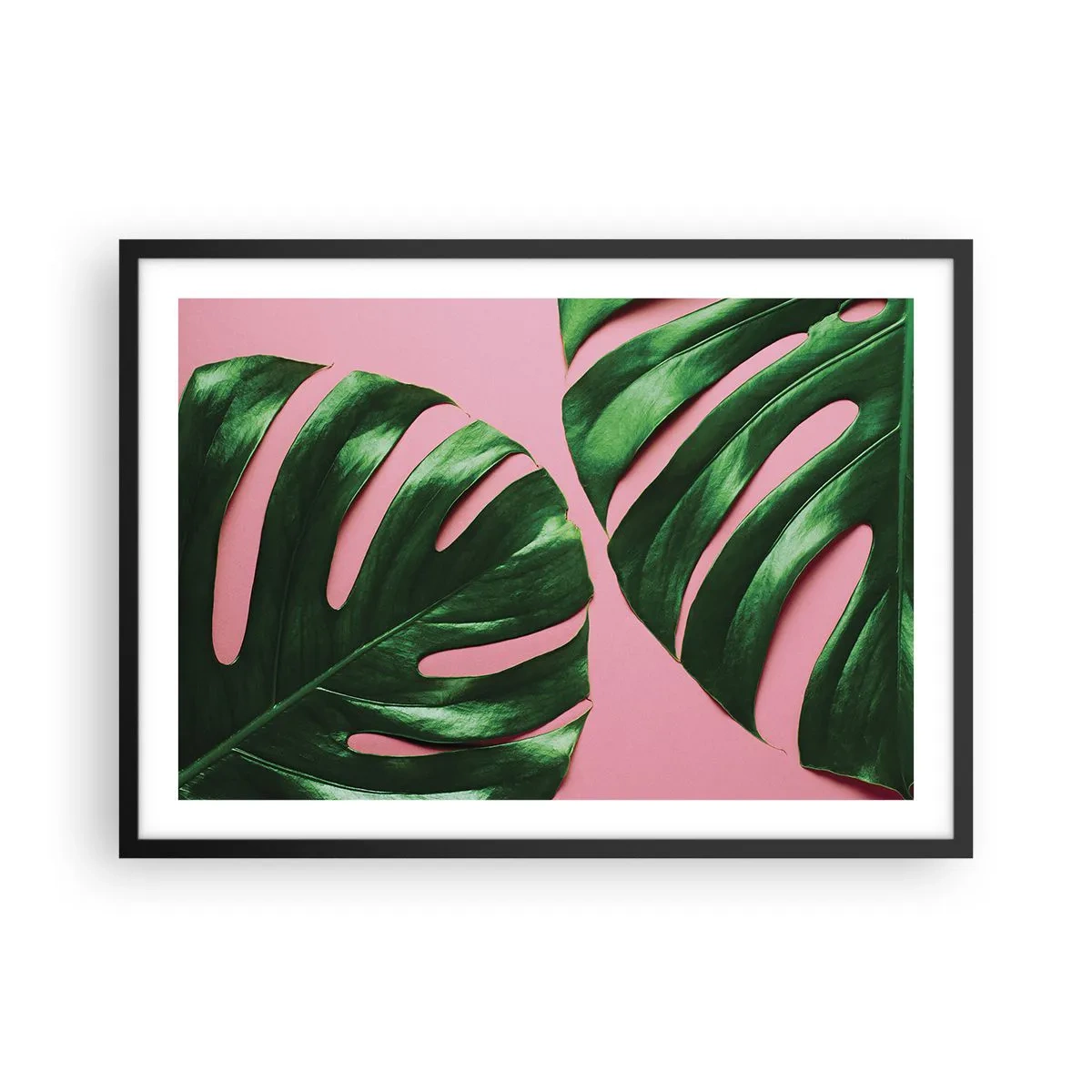 Poszter fehér keretben - Zöld rendez-vous - 70x50 cm