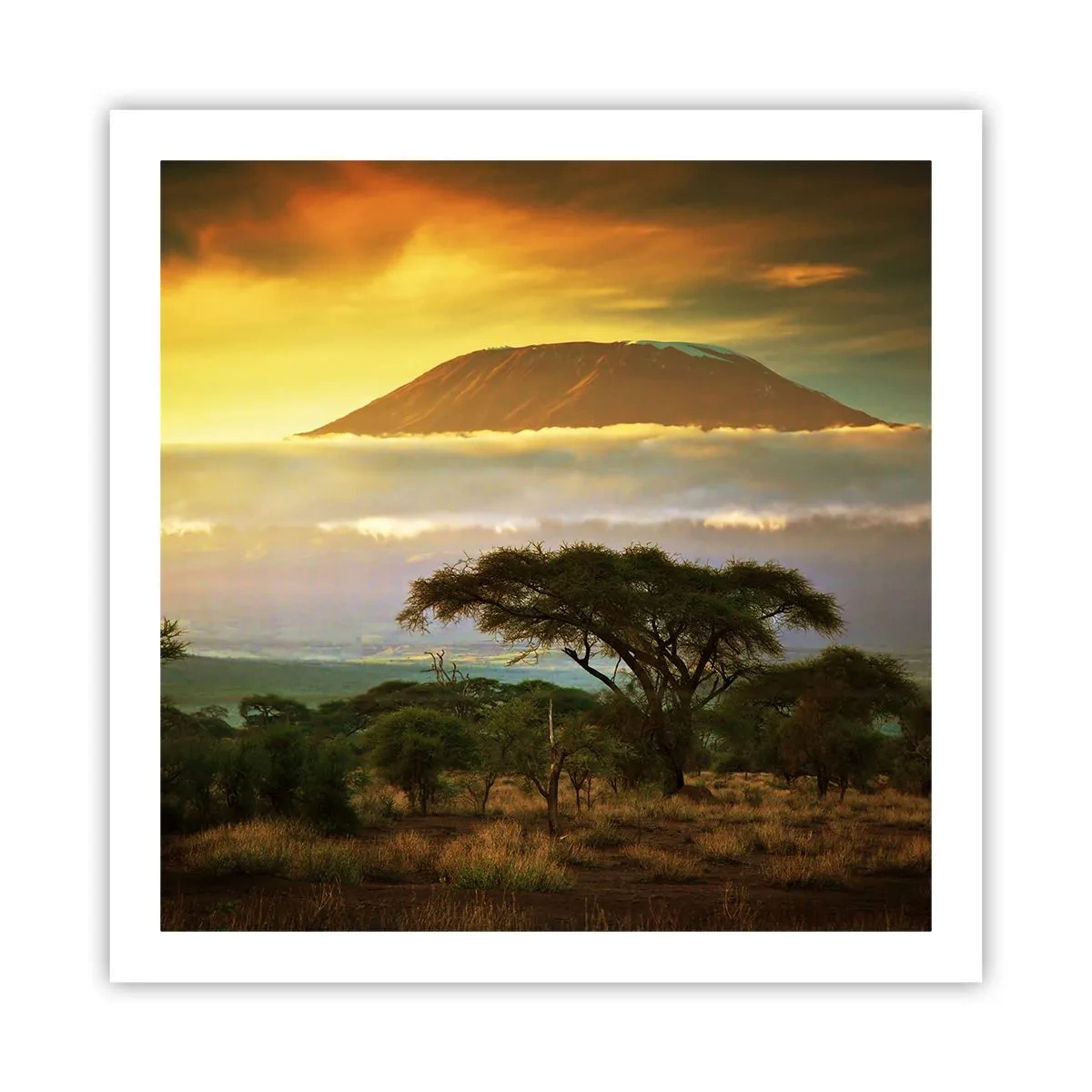 Poszter - Utazó álma - 60x60 cm