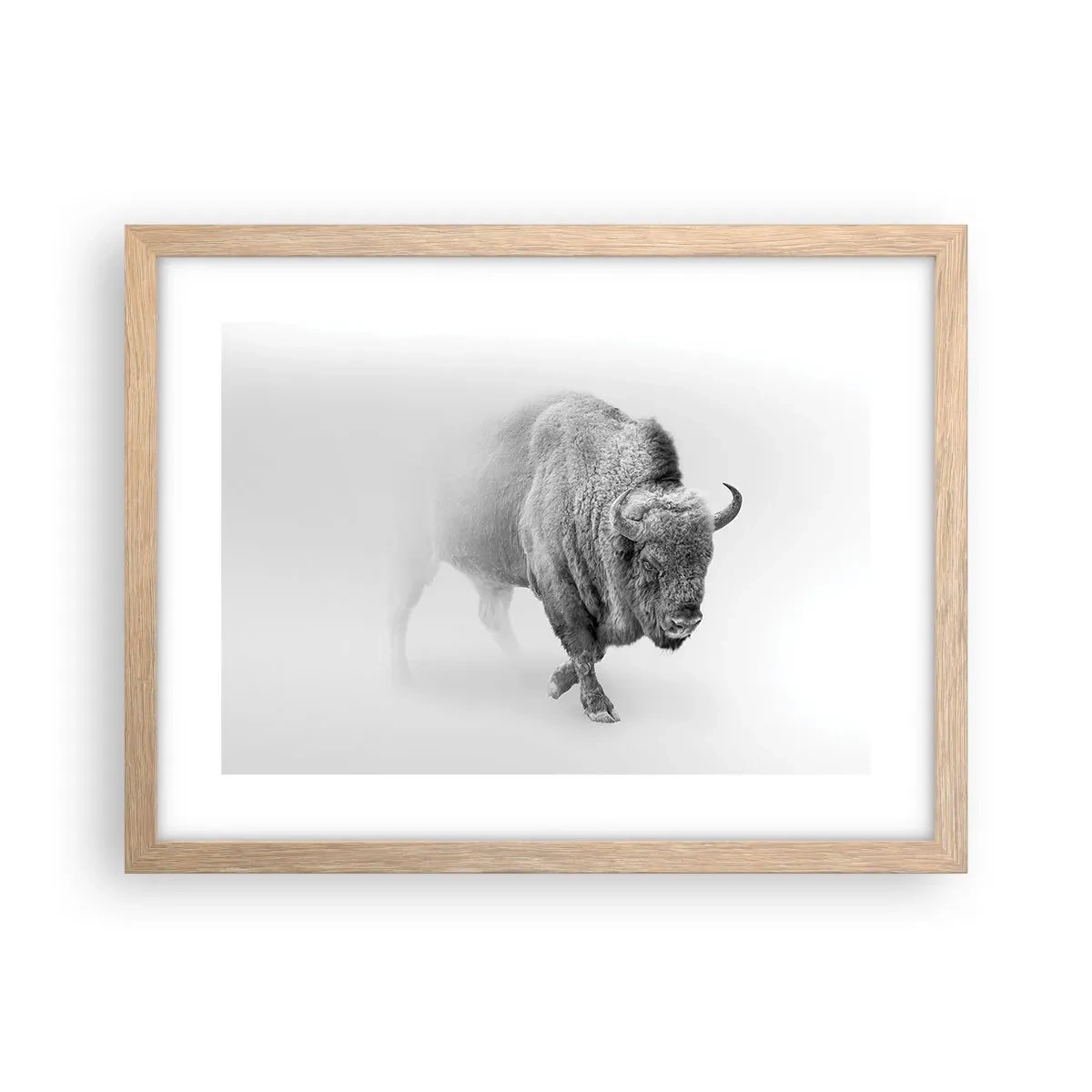 Poszter világos tölgy keretben - A préri királya - 40x30 cm