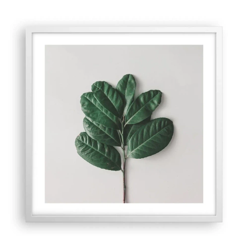 Poszter fekete keretben - Rajz csak a természetről - 50x50 cm