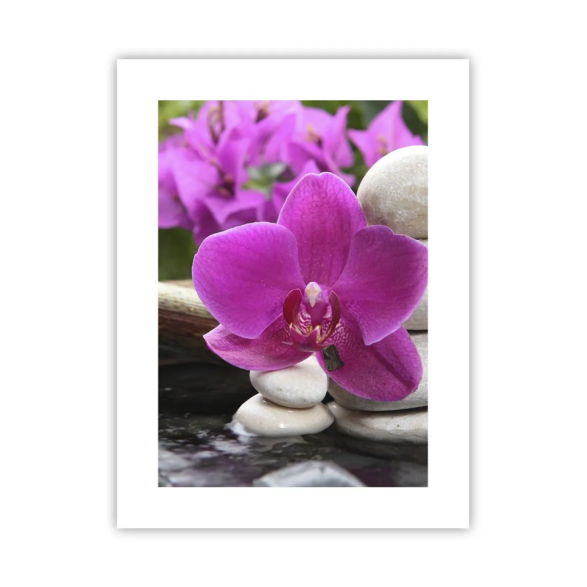 Poszter - Már pihensz - 30x40 cm