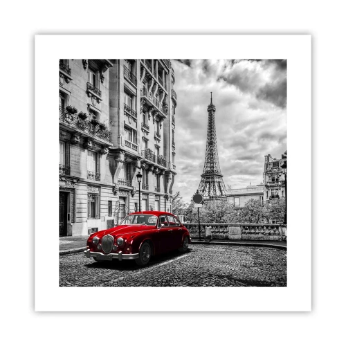 Poszter - Ragadozó a városban - 40x40 cm