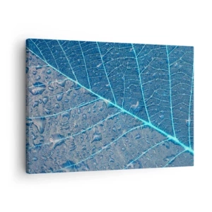Vászonkép - Egy kék árnyalatú levél vízcseppekkel - 70x50cm - Az élet kékben - Modern fali dekoráció nappalihoz és hálószobához ARTTOR